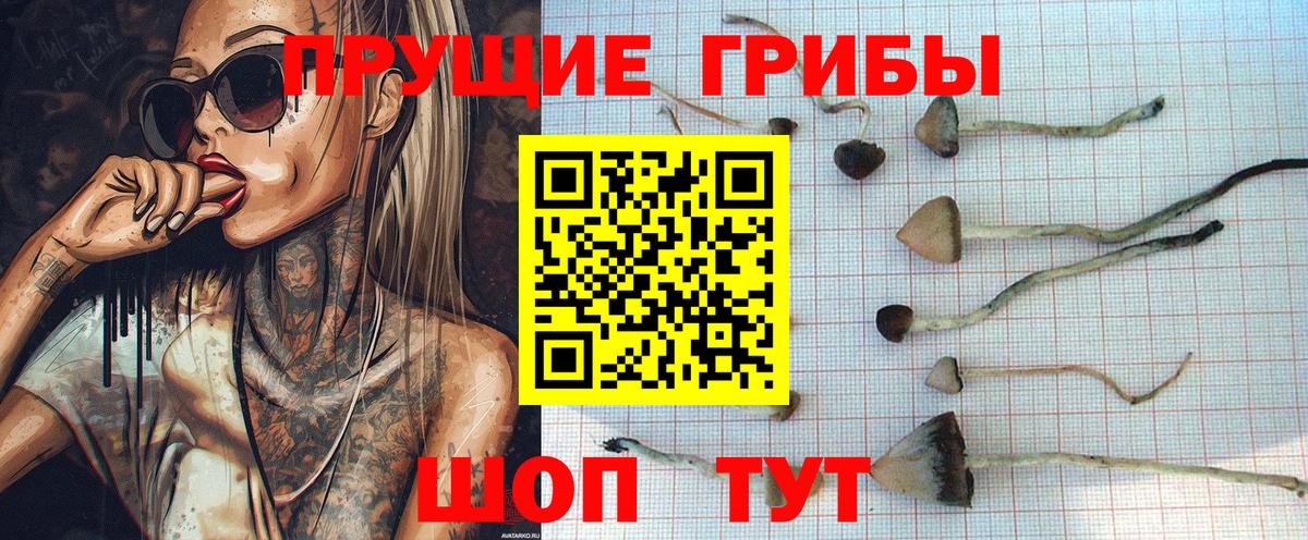 Галлюциногенные грибы MAGIC MUSHROOMS  Псилоцибиновые грибы Psilocybine cubensis  Вход с VPN  Чайковский 